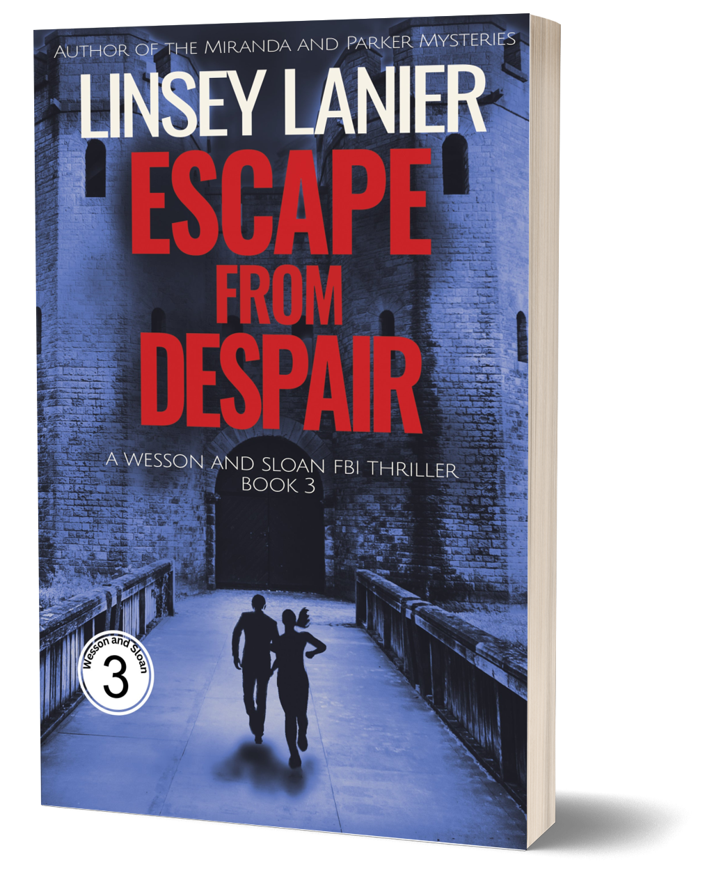 Escape from Despair - PAPERBACK (Wesson and Sloan FBI Thriller) #3